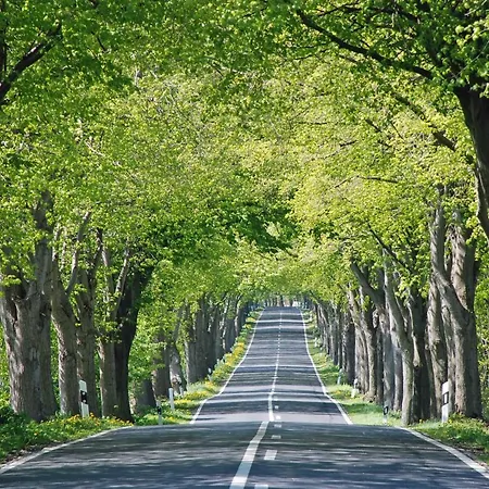 Apartment Ferienhaus mit Terrasse im Grünen